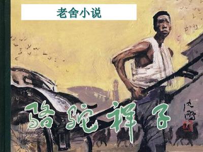 深入了解 日韩在线永久域名自动转跳
